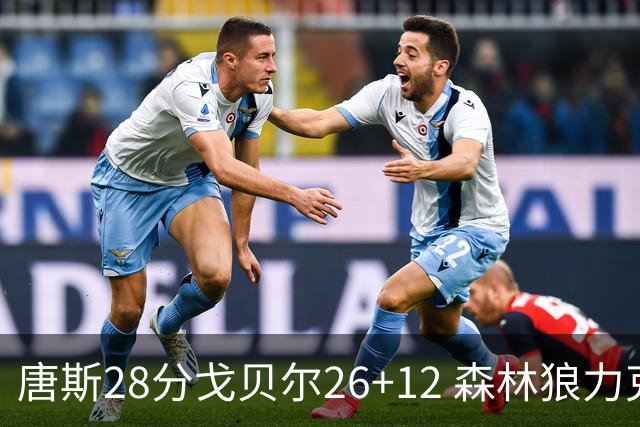 唐斯28分戈贝尔26+12 森林狼力克黄蜂4连胜